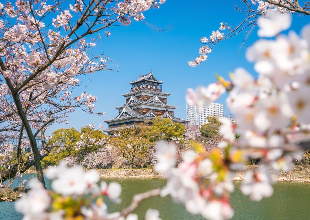 A Hiroshima várkastély cseresznyevirágzáskor, Japán