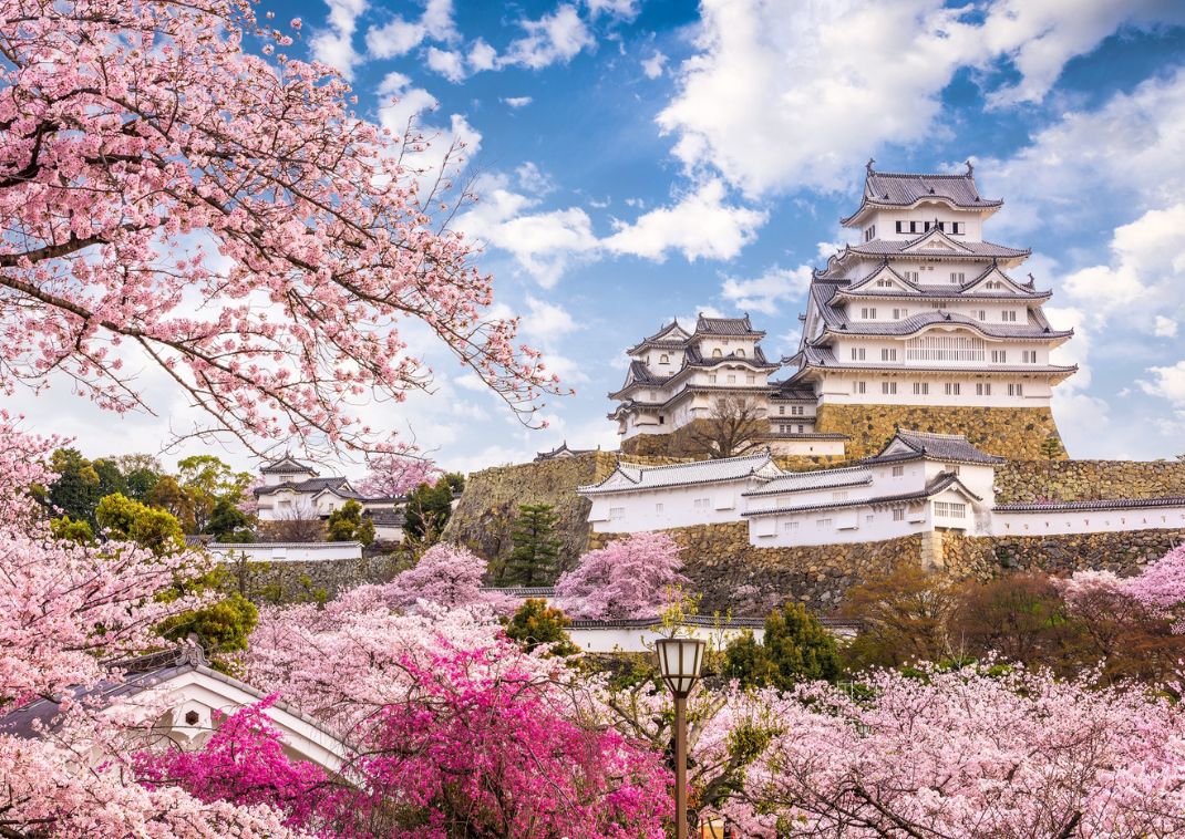Az Oszakai vár cseresznyevirágzáskor, Japán