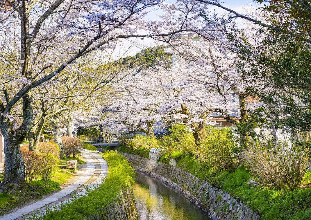 A Gion Shirakawa-folyó tavasszal, Kiotó, Japán